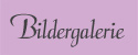 Bildergalerie